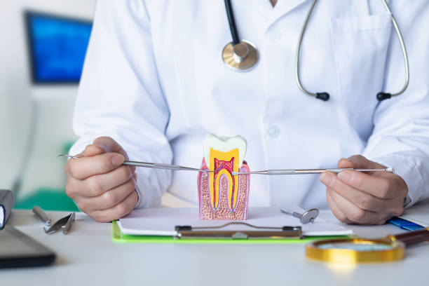 Best Emergency Treatment for Toothache in Sullivan, MO